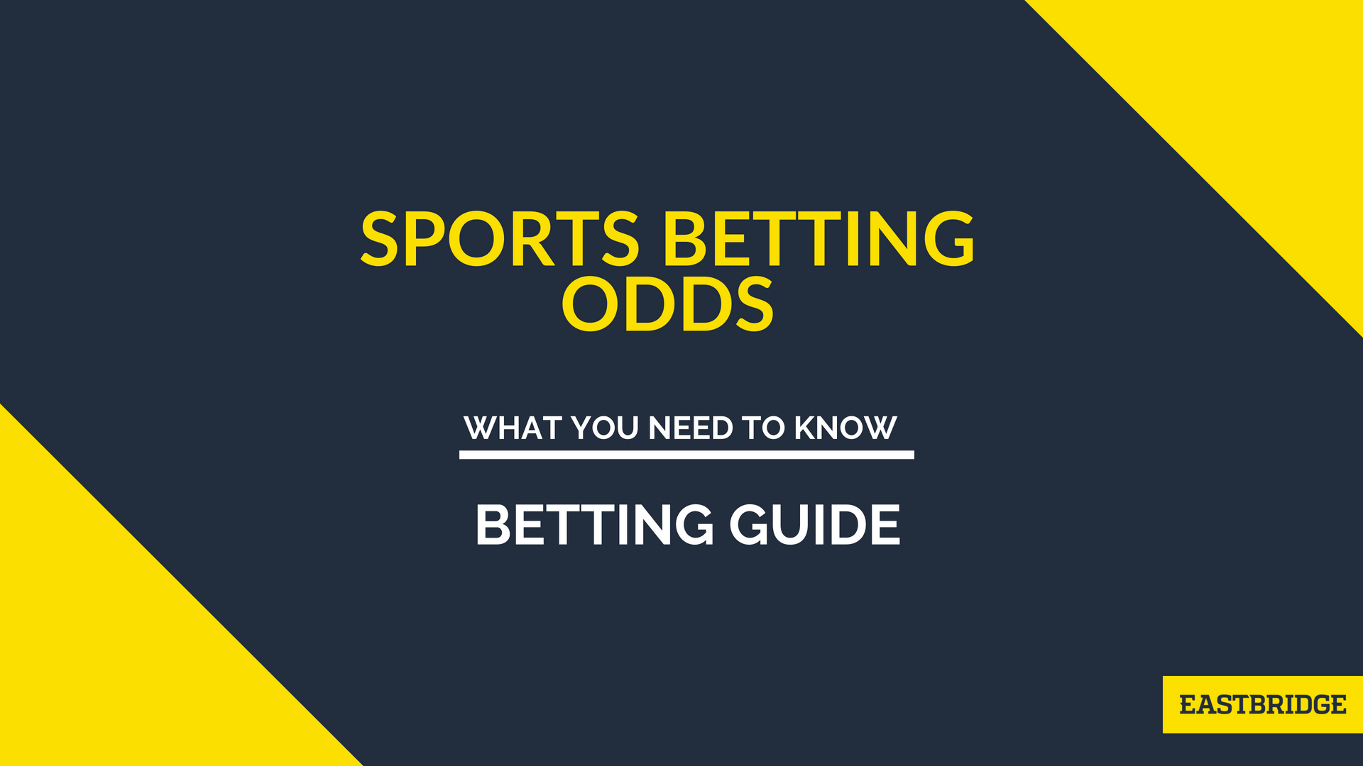 Betting Guide How odds work for every format and how to calculate profits