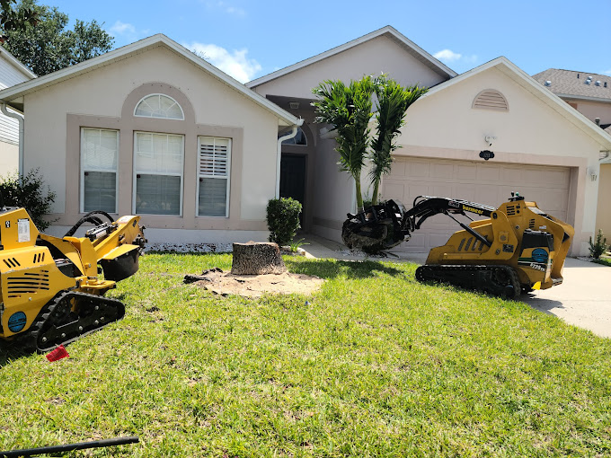 Tree Service Rockledge FL Tree Trimming & Removal