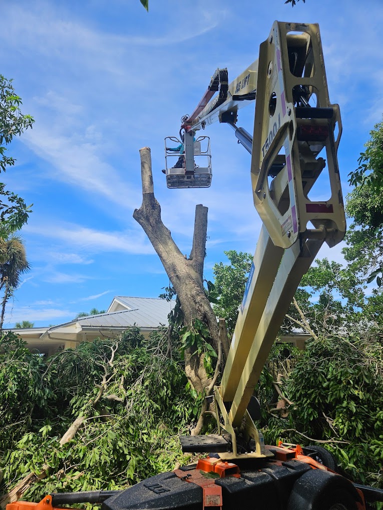 Tree Service West Melbourne FL Tree Trimming & Removal