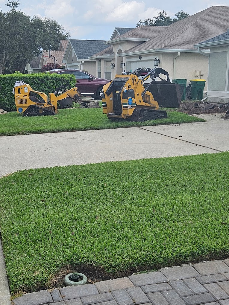 Tree Service West Melbourne FL Tree Trimming & Removal