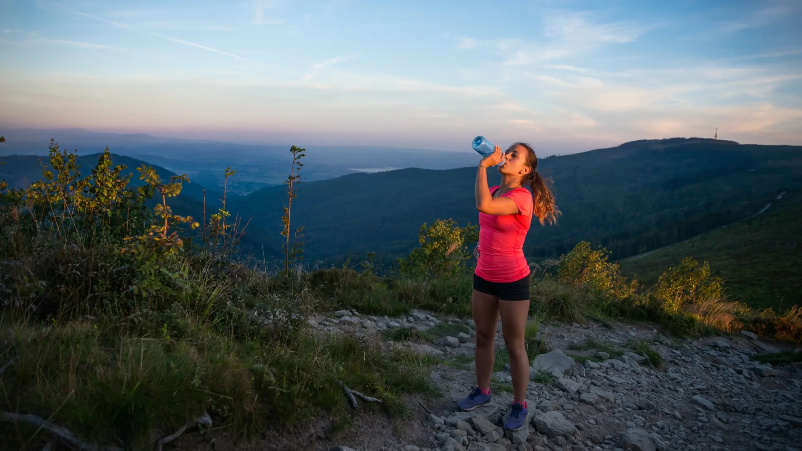 Thyroid Hormones NDT Extract & Slow Release T3 Capsules