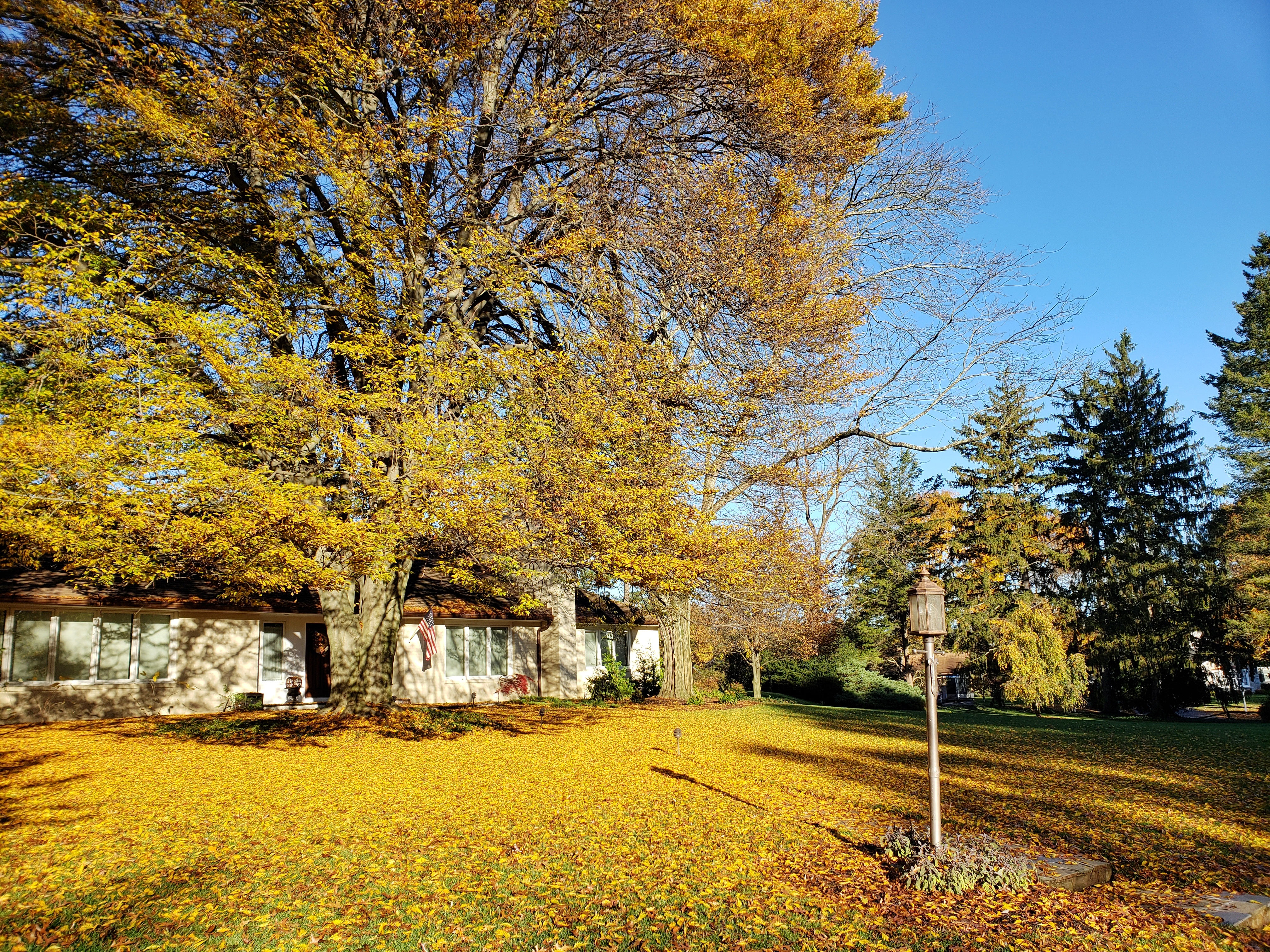 Landscape Maintenance East Coast Green