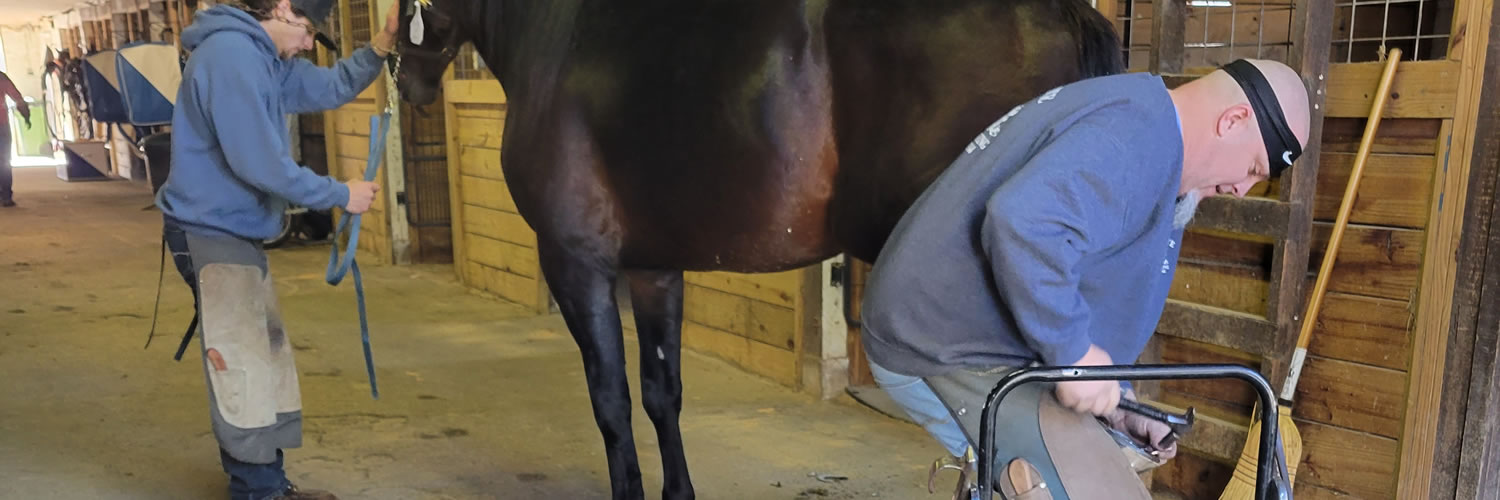 East Coast Horseshoeing School
