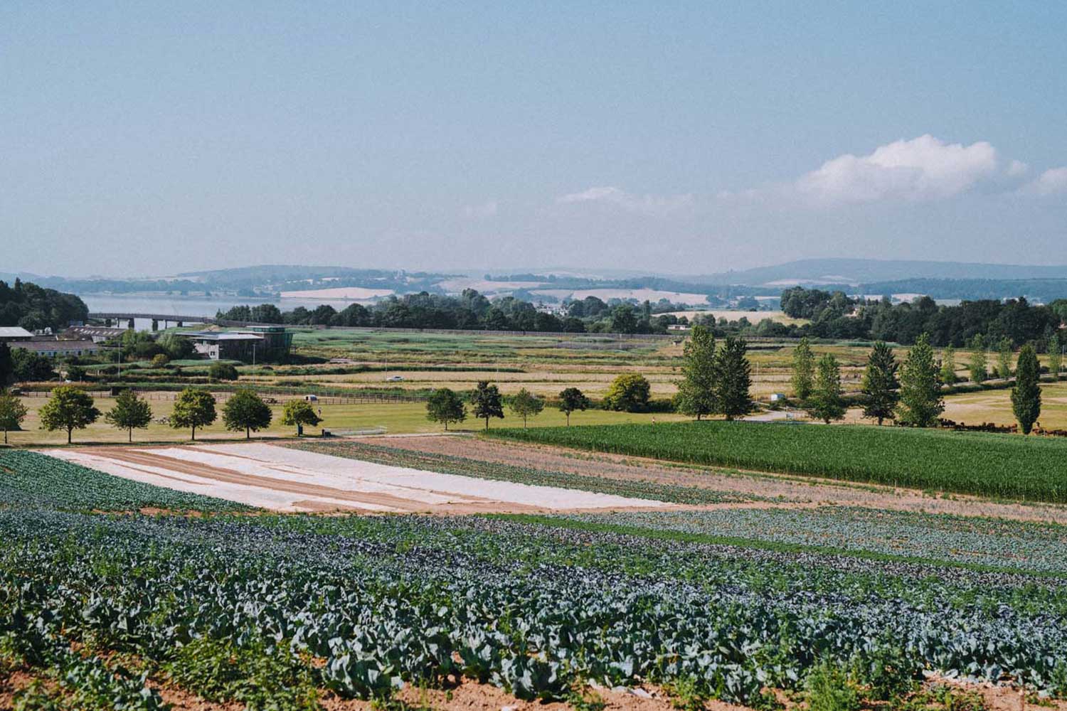 Darts Farm Farm Shop Topsham, Exeter Places to visit in East Devon