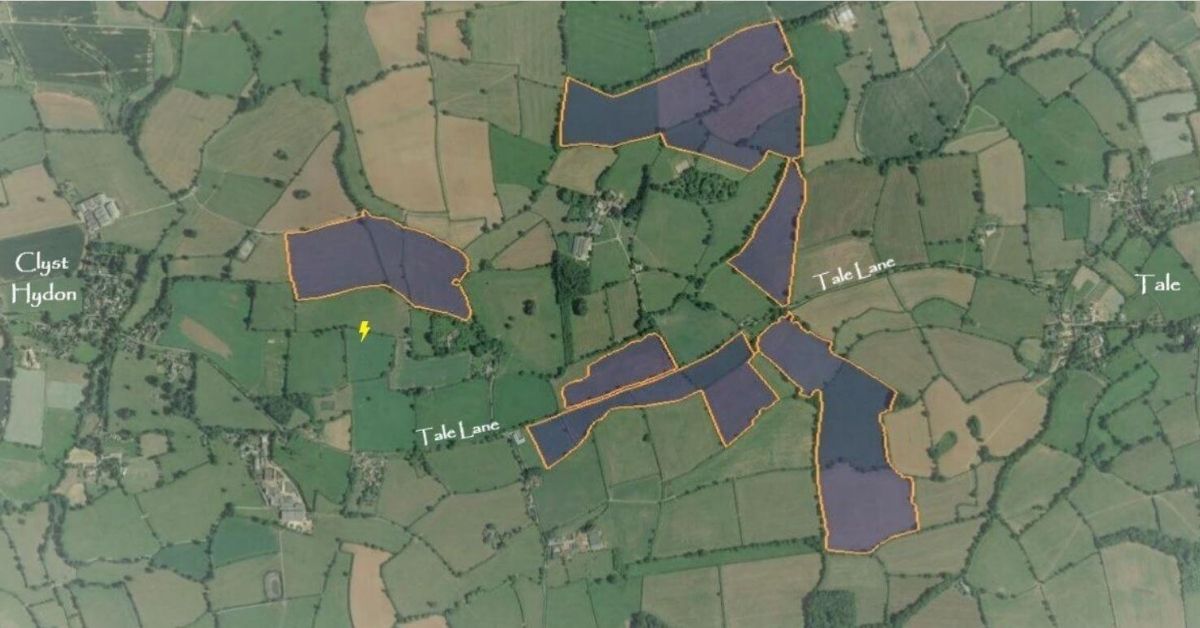 Largescale solar farm proposed for East Devon farm could power 15k