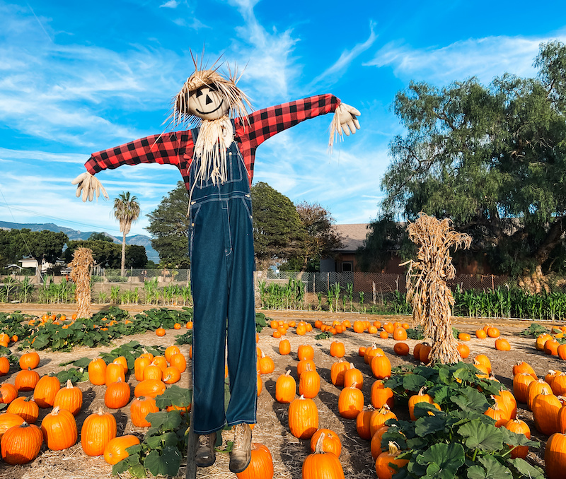 7th Annual Scarecrow Contest at The Shoppes East End LOCAL
