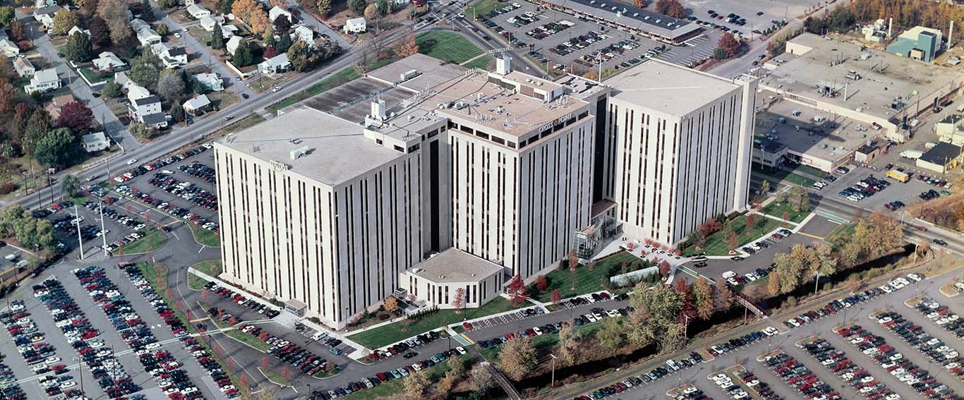 Cross Point Eastern Real estate