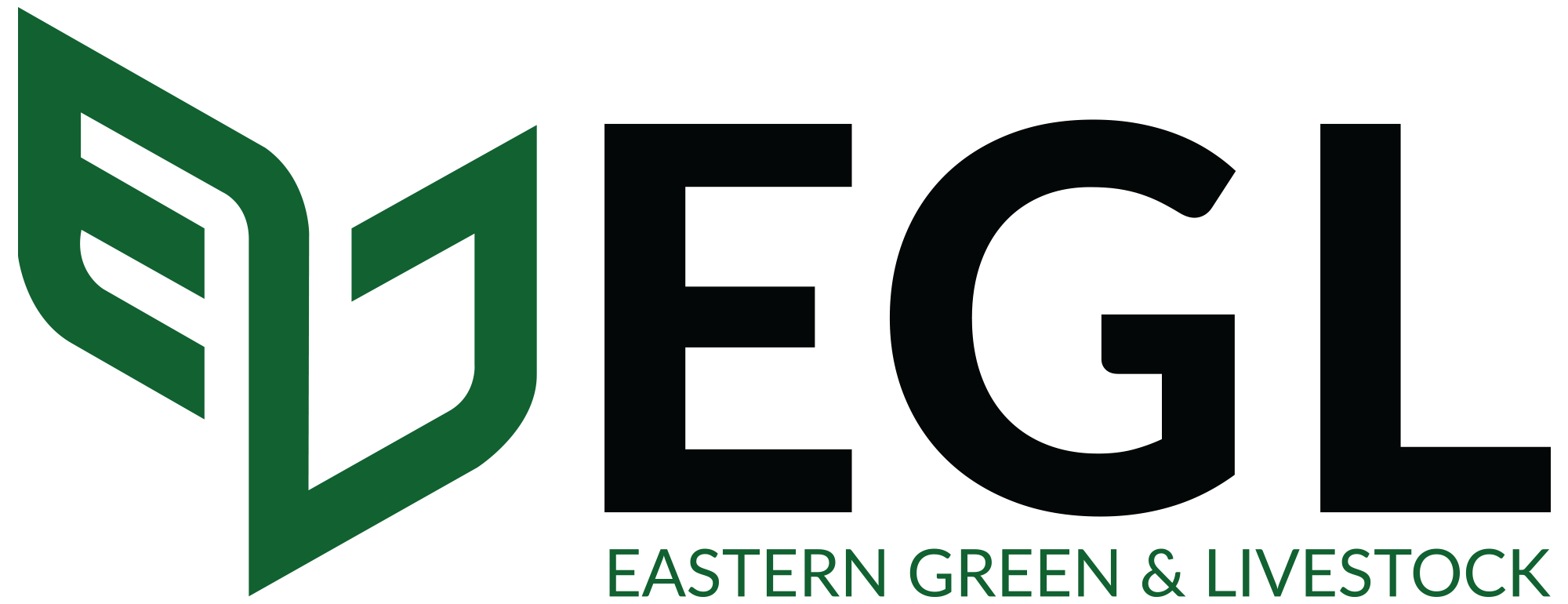 Melia Volkensii Trees Eastern Greens and Livestock Ltd