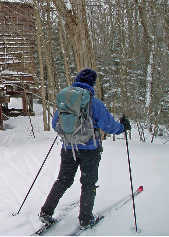 Alpina Cross Country Skis Wallpaper Alpina Car