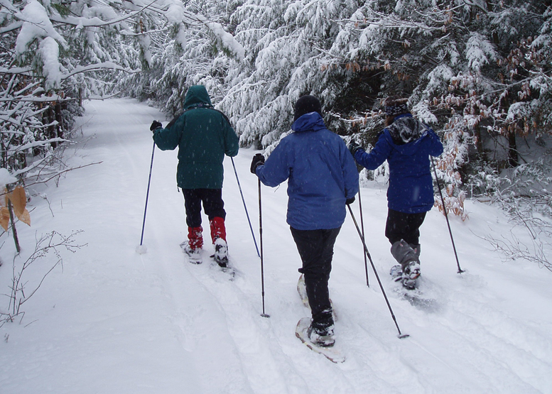 Snowshoes 101