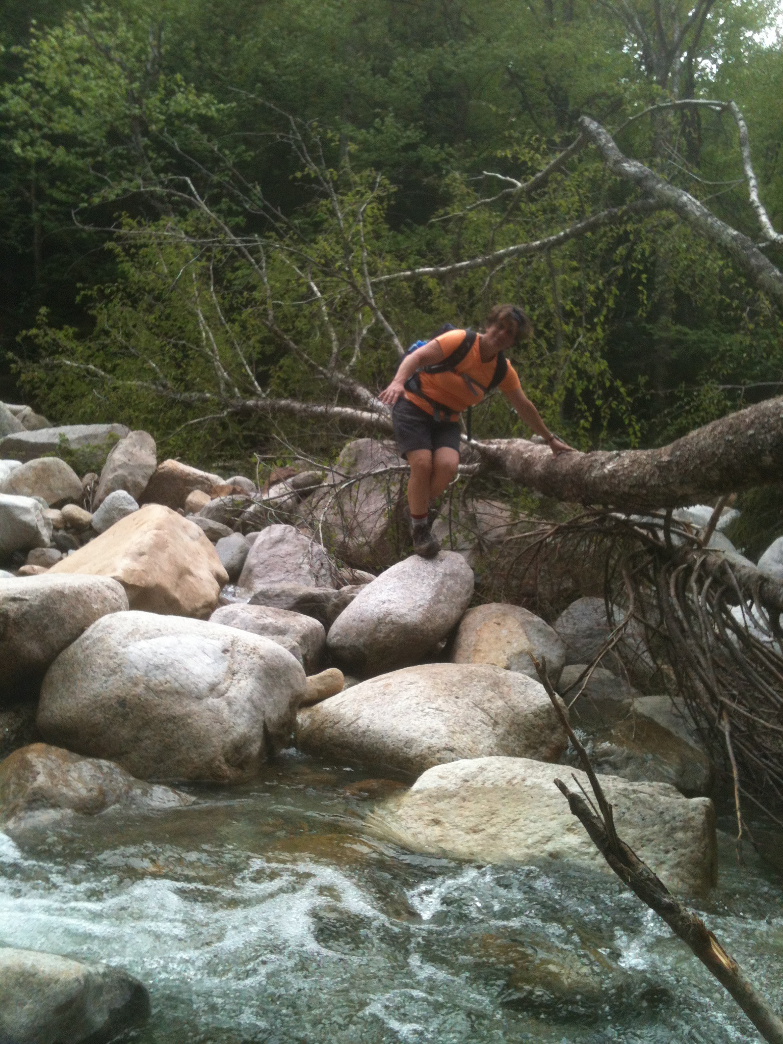 Holiday Hike Up North Twin Mountain, NH