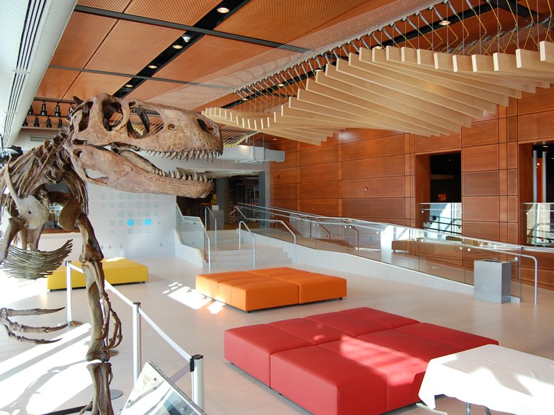 Arkansas Museum of Discovery Donald W. Reynolds Science Center