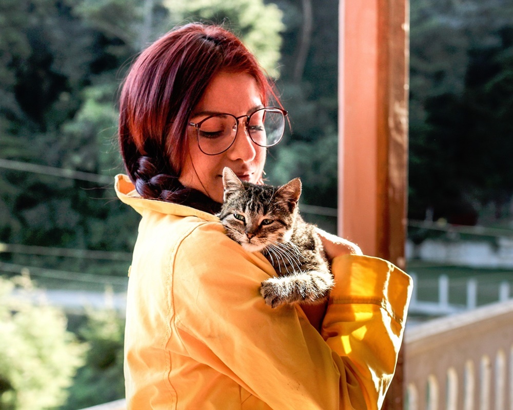 About Us East Haven Veterinary Service