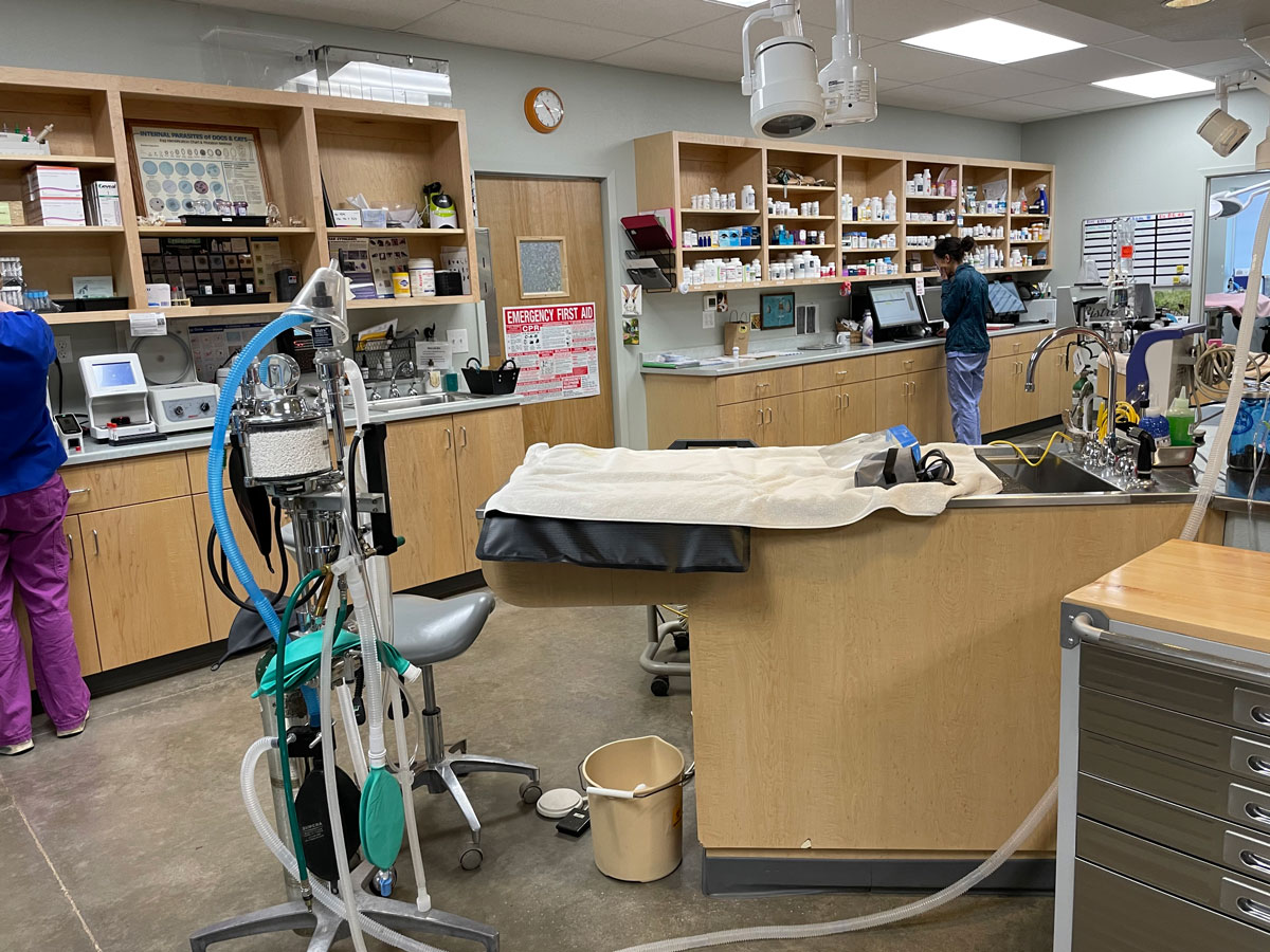 Gallery Vet in Willits East Hill Veterinary Clinic