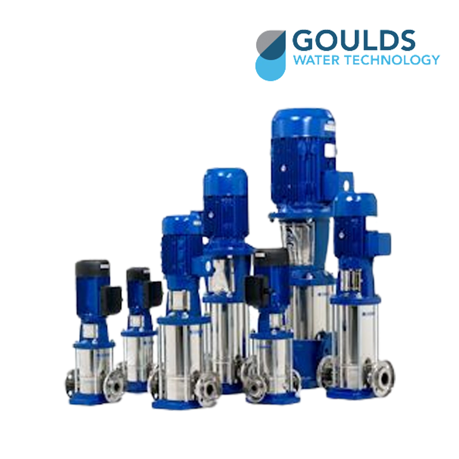 GOULDS Vertical InLine eSV SERIES Eastman