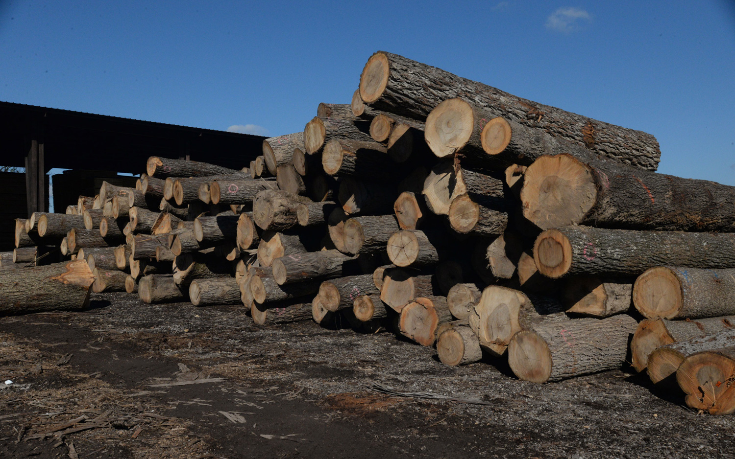 Home East Perry Lumber Co. Frohna, MO 63748 Hardwood Sawmill