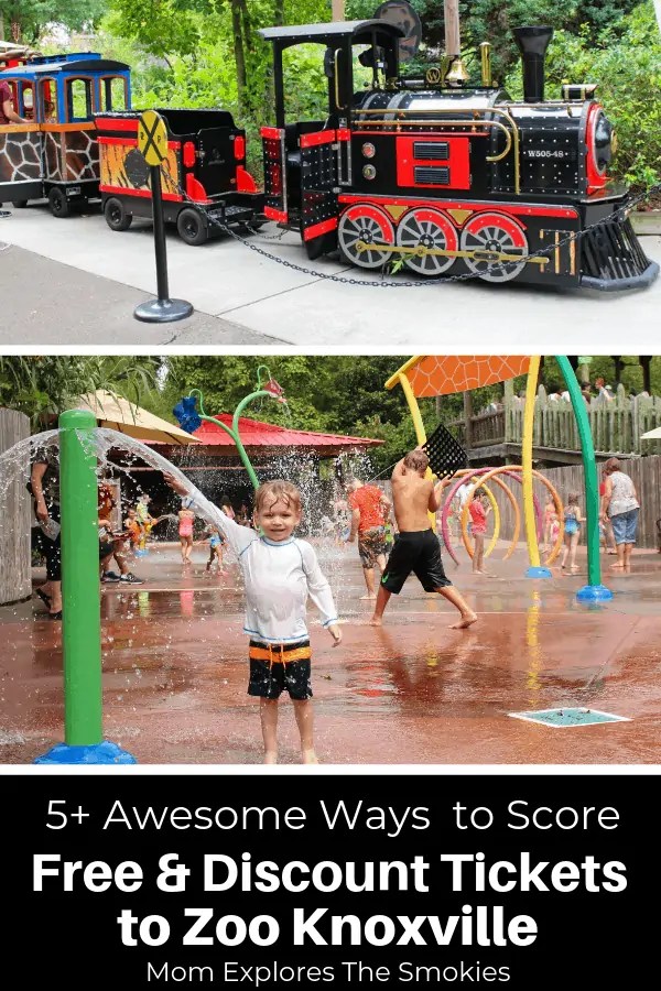 Free and Discount Knoxville Zoo Tickets East TN Family Fun