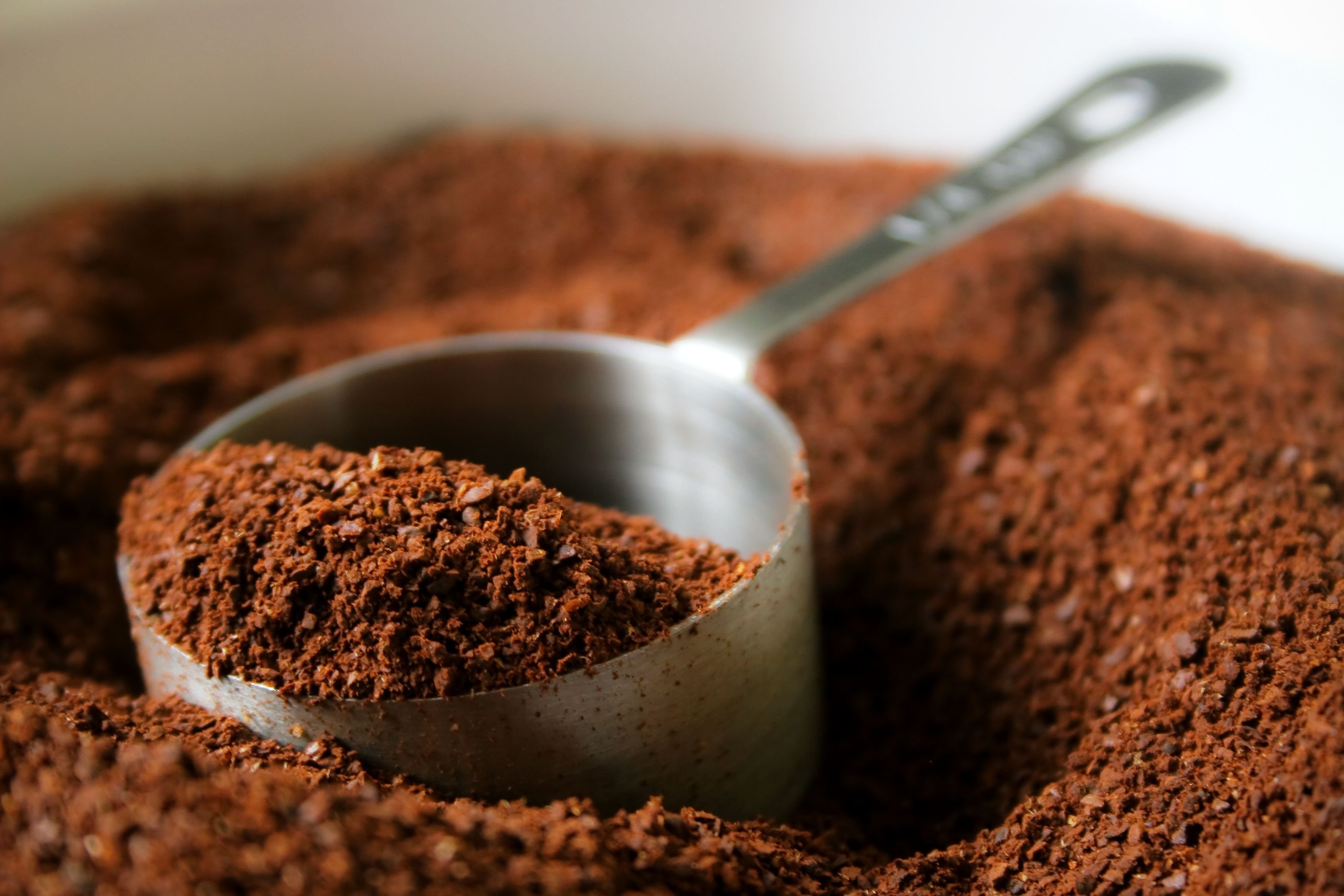 3 Ways To Use Coffee Grounds In The Garden Eastwood Homes
