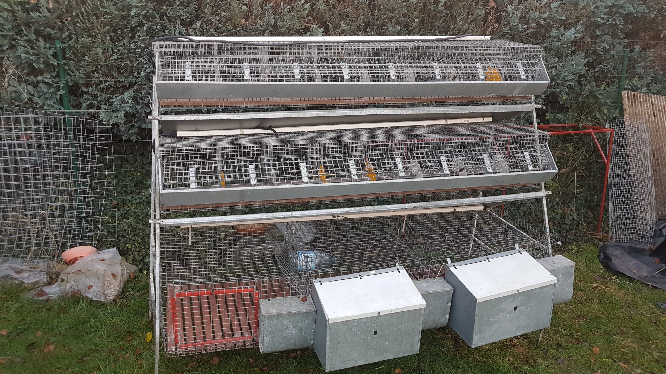 Cage d élevage lapin EasyAgri