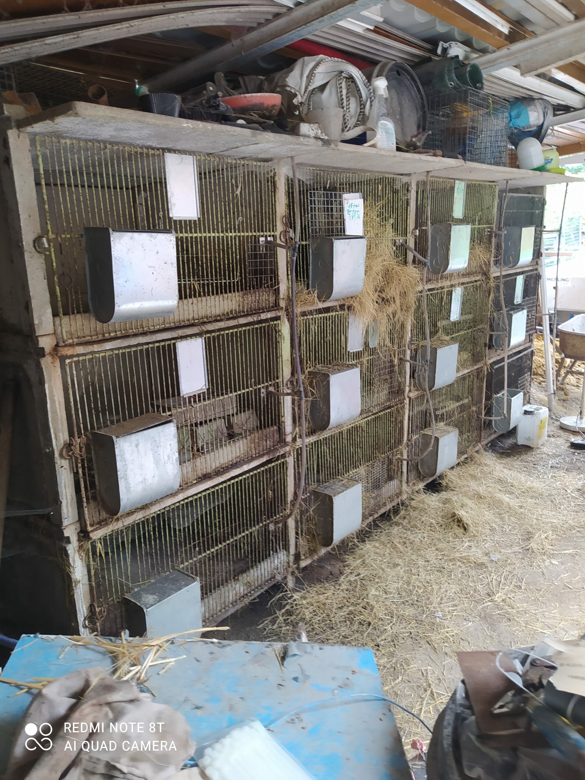 VEND CLAPIERS À LAPINS EN BÉTON 12 CASES 9 DE 90 ET 3 DE