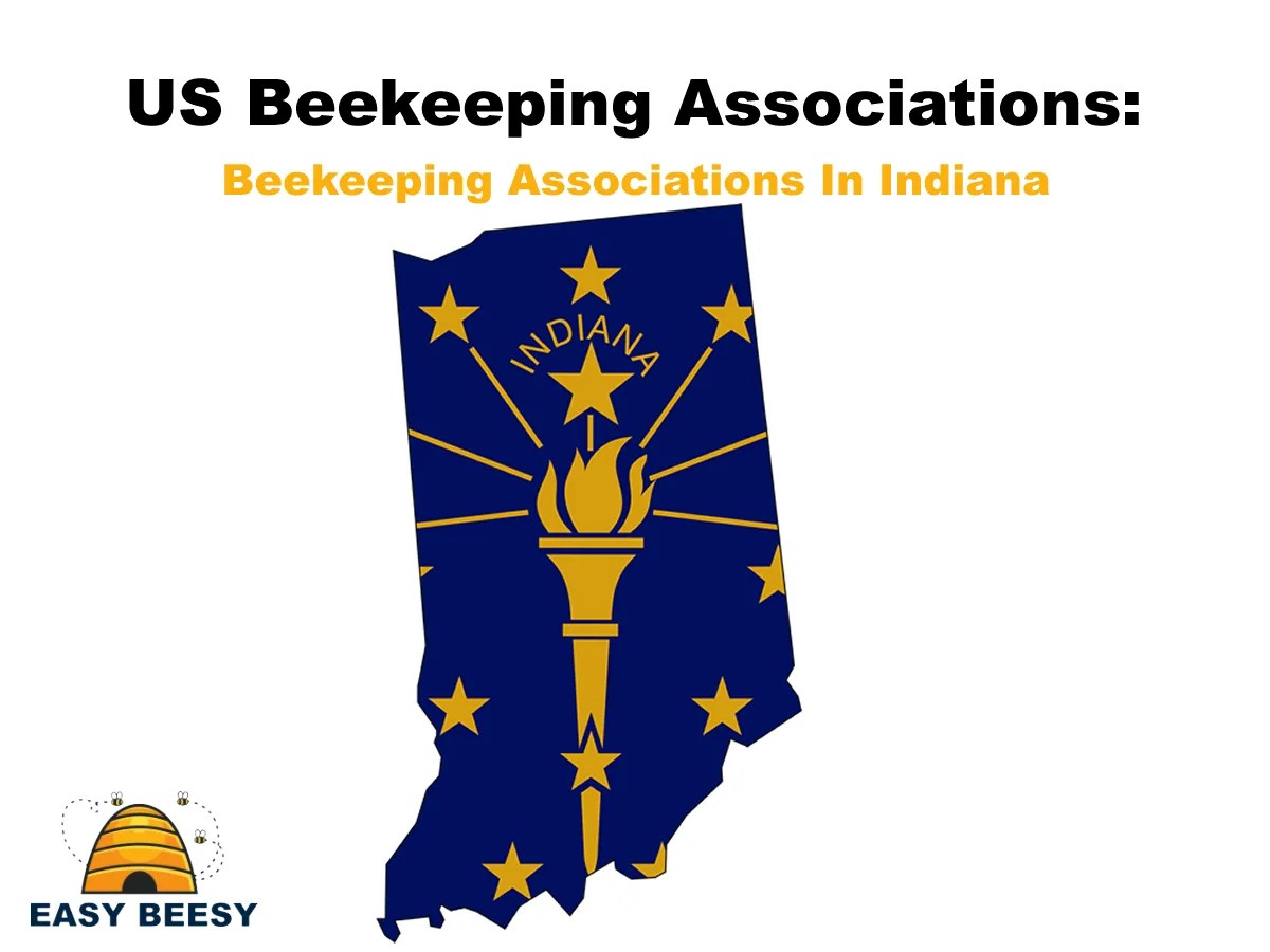 US Beekeeping Associations Beekeeping Associations In Indiana Easy