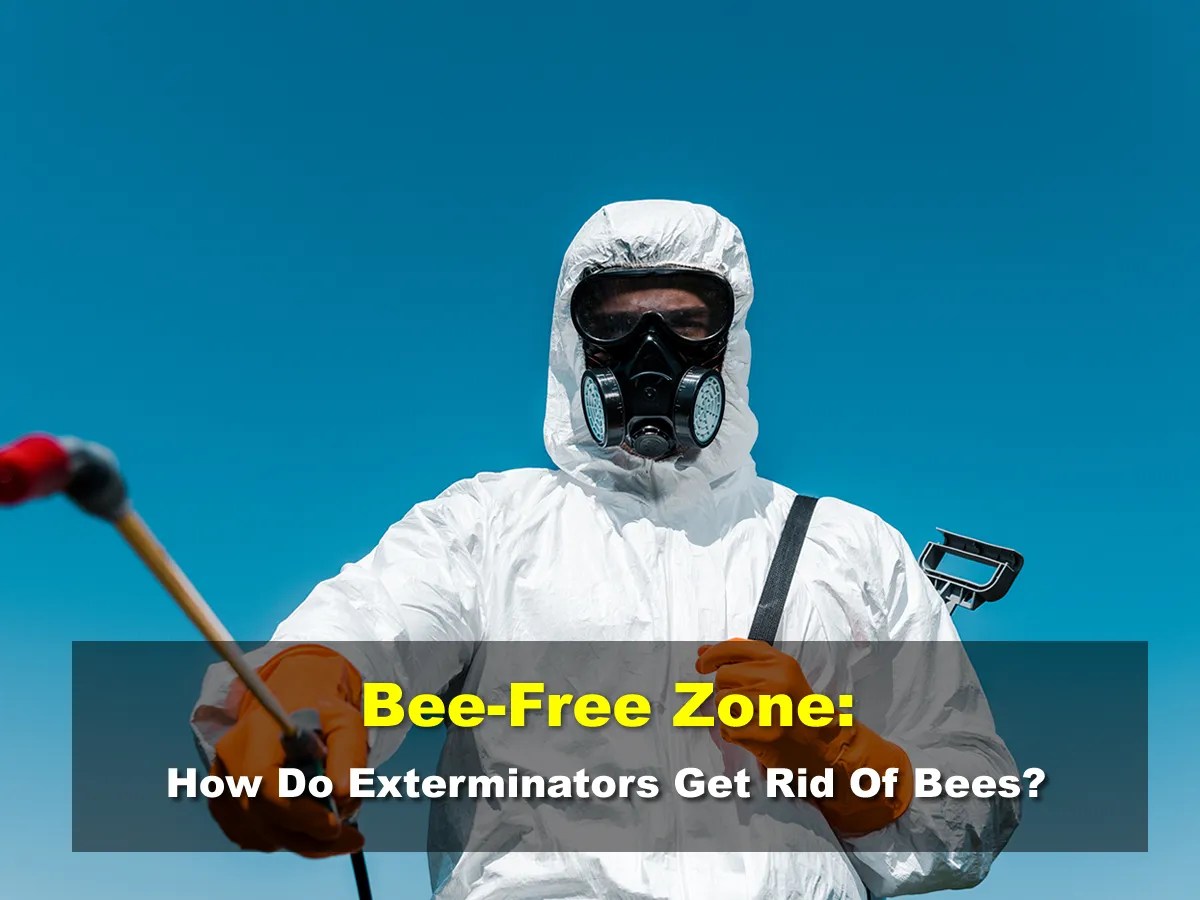 BeeFree Zone How Do Exterminators Get Rid Of Bees?