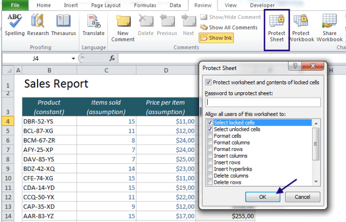 Cell Protection Excel Masters Secure Data
