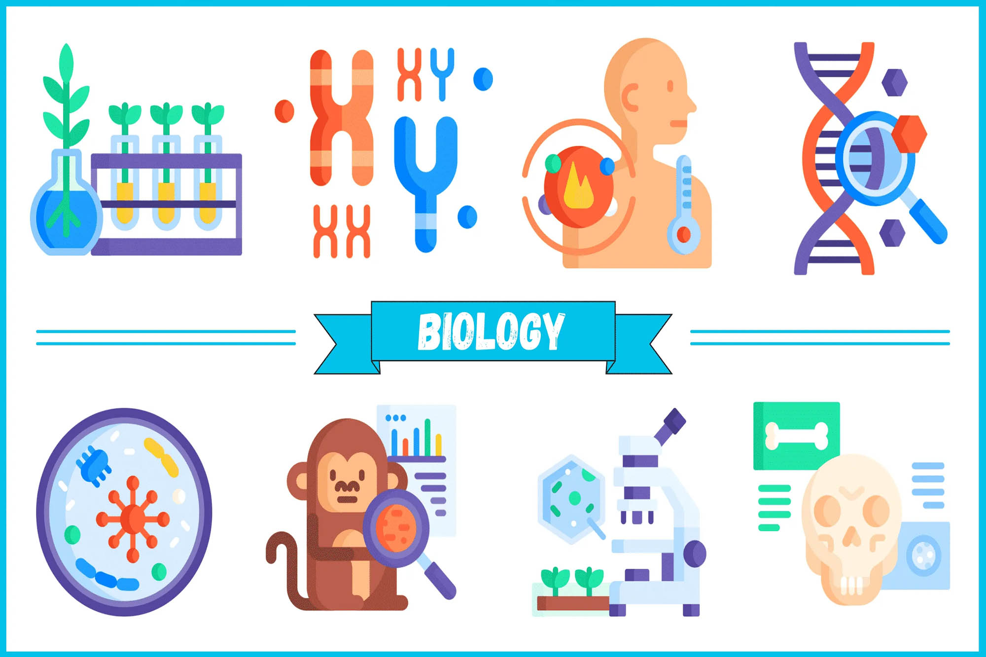 GCSE Biology Tutorials Easy Learning