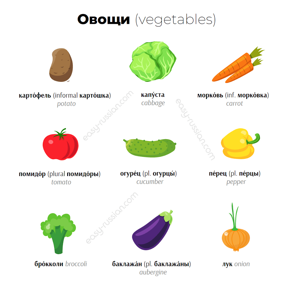 Food Vocabulary in Russian Basic Words and Phrases