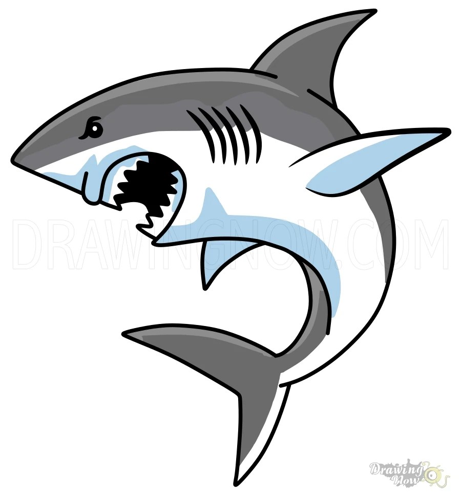 How to Draw a Shark DrawingNow