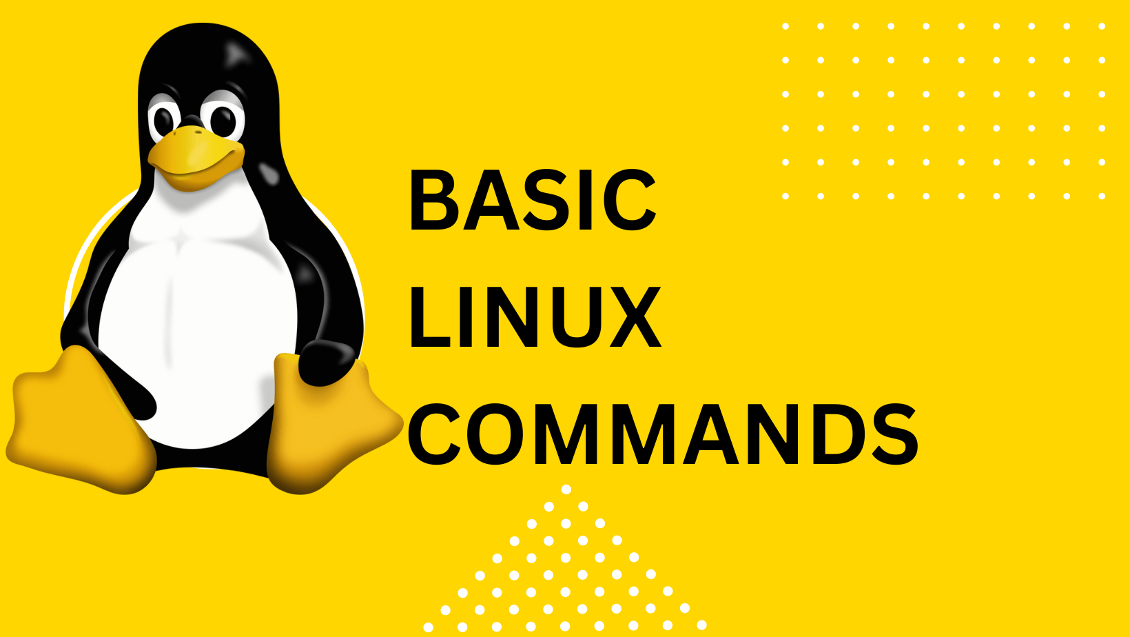 Most common linux commands 2023