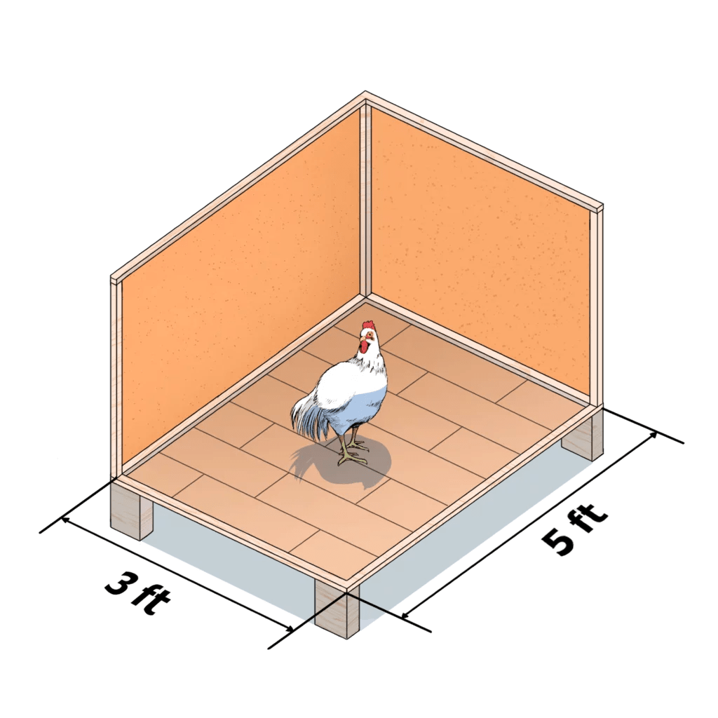 How much space do chickens need? Easy Coops™