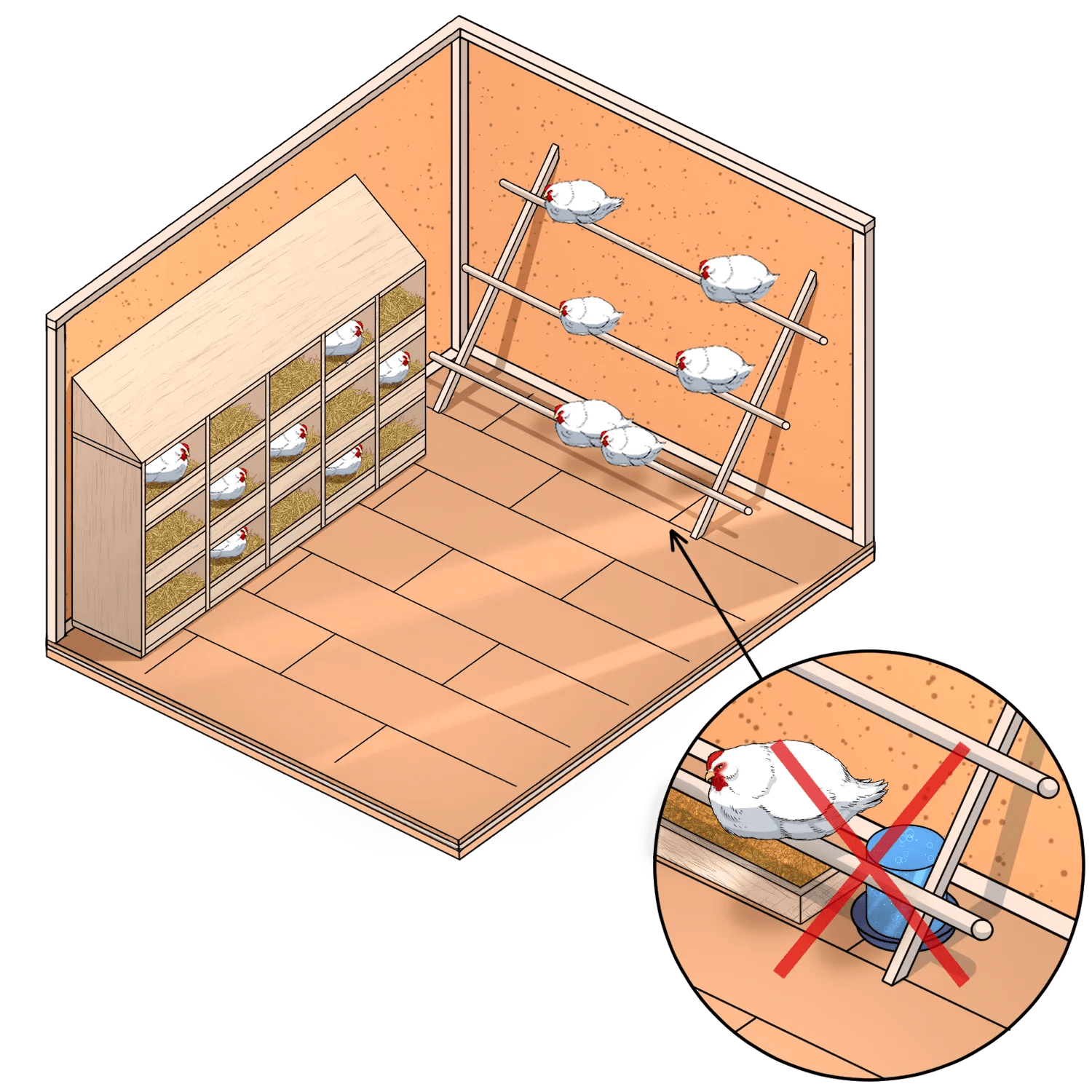 Building a Safe and Comfortable Chicken Coop Housing Easy Coops™