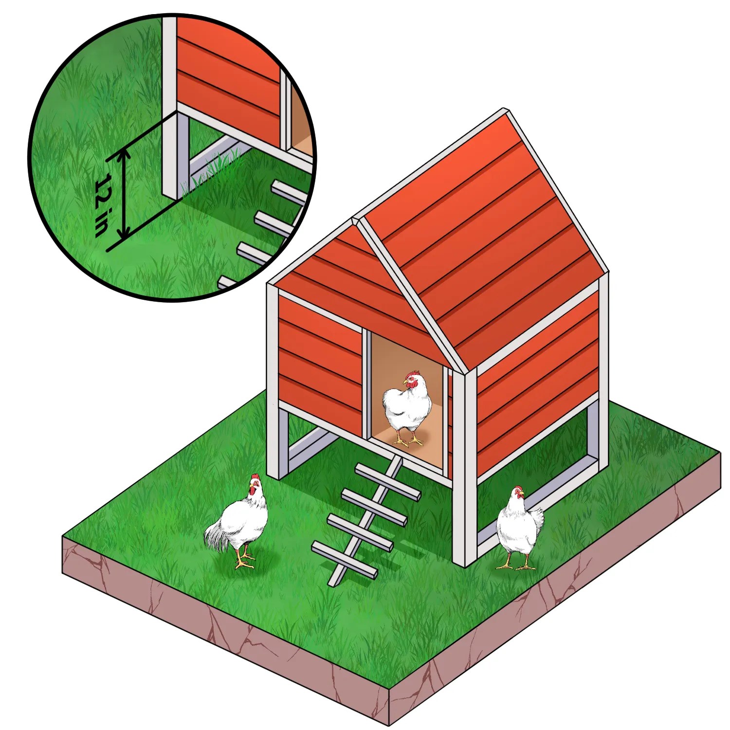 Top 10 Ideas for a Predatorproof Chicken Coop Easy Coops™