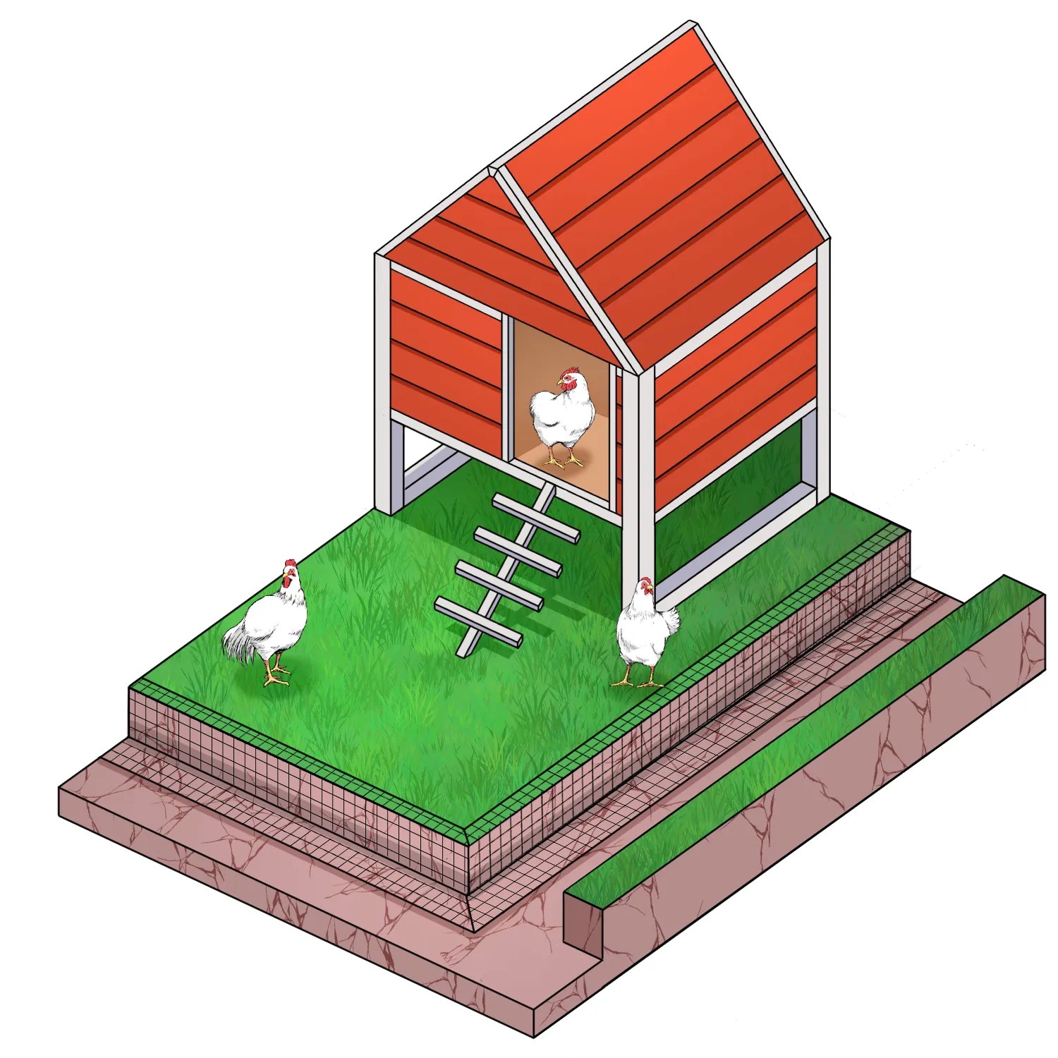 Top 10 Ideas for a Predatorproof Chicken Coop Easy Coops™