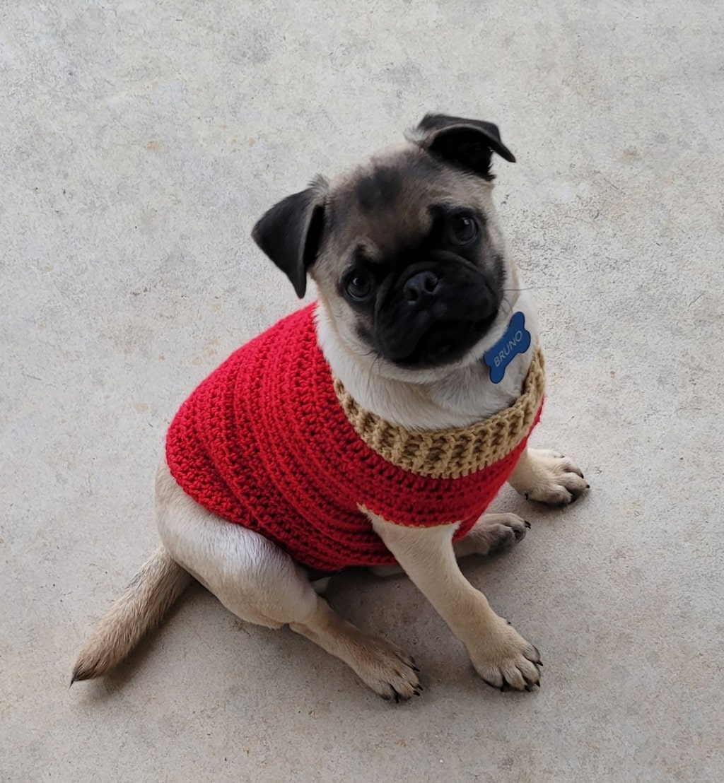 Pug Puppy Sweater Pattern Easy Crochet Patterns