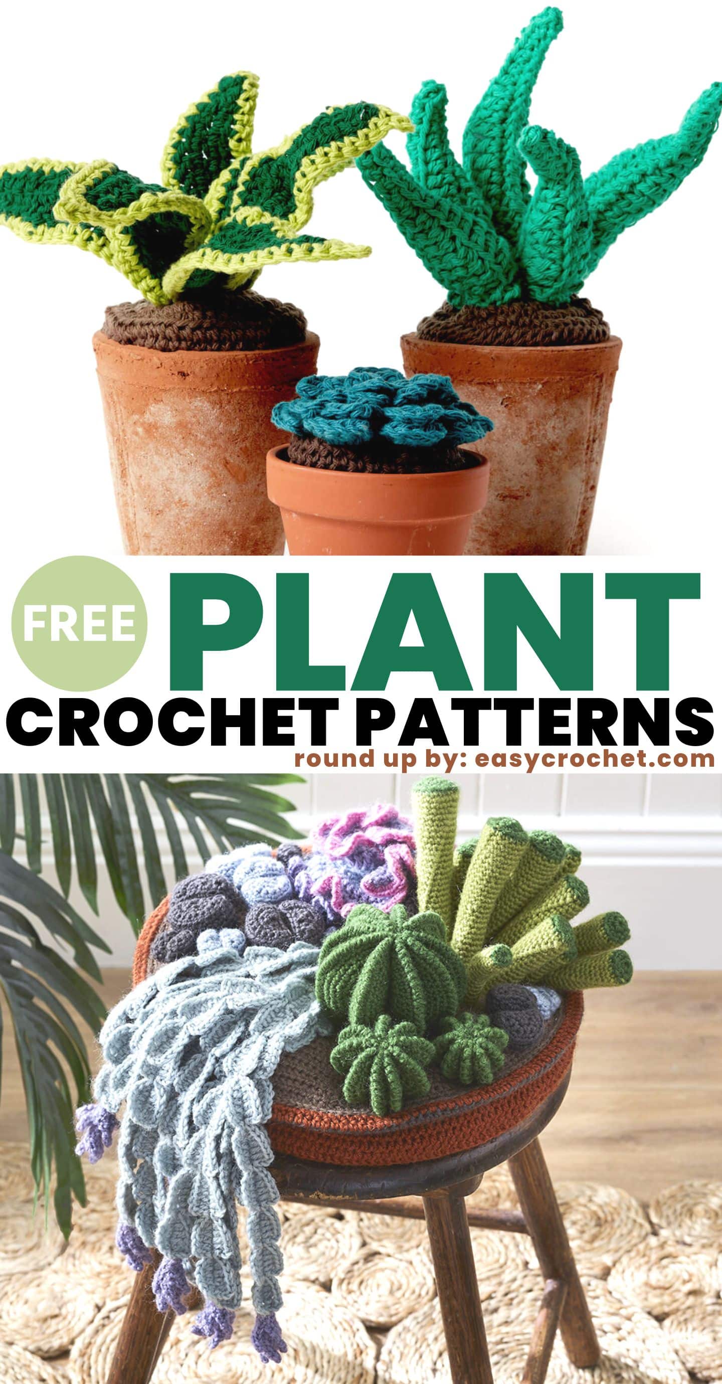 Explore the Best Crochet Plant Pattern Free to Elevate Your Skills