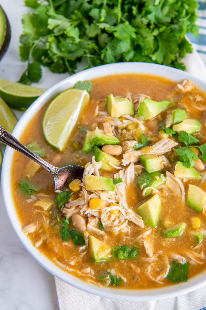 Crockpot Salsa Verde Chicken Soup Easy Dinner Ideas