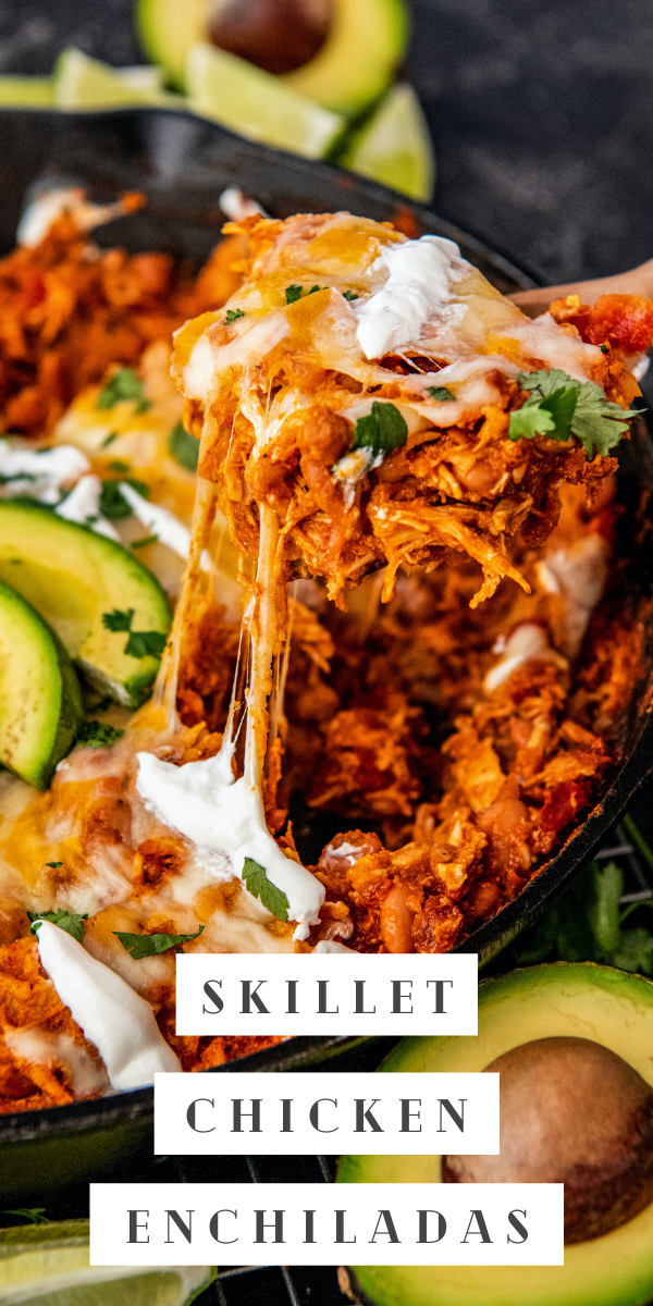 Quick Chicken Skillet Enchiladas Easy Dinner Ideas