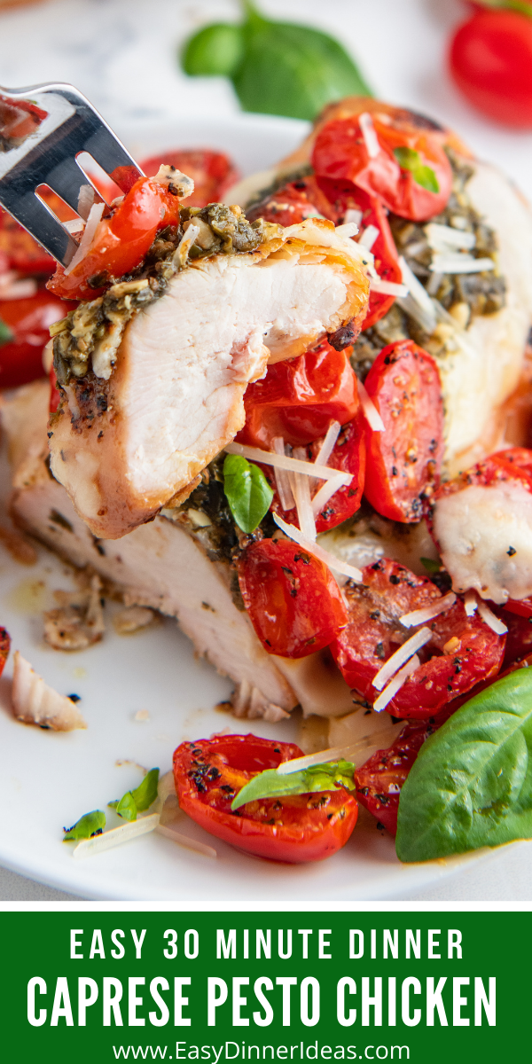 Easy Pesto Chicken Caprese in 30 Minutes Easy Dinner Ideas