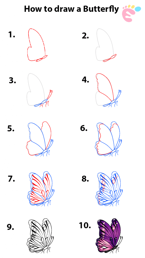 Learn how to draw a Butterfly Easy drawings for beginners