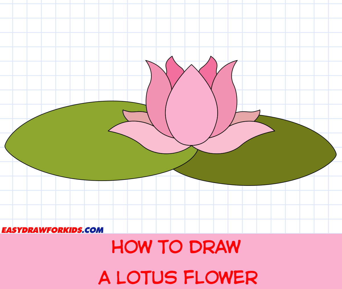How To Draw A Lotus Flower Step By Step Easy Best Flower Site