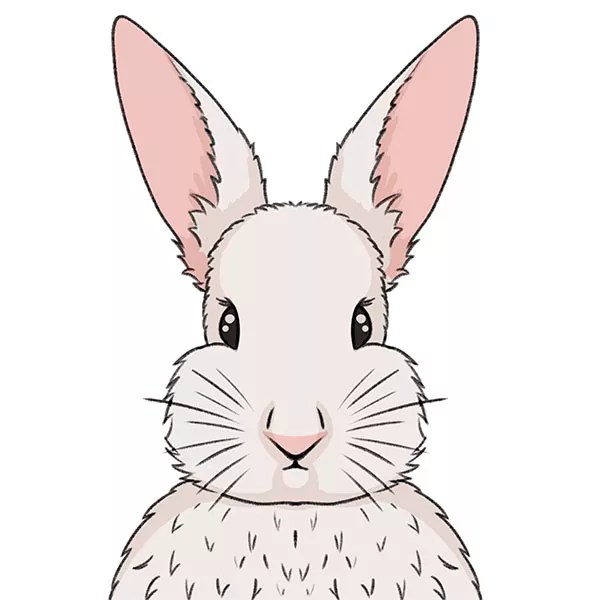 How to Draw a Rabbit Face Easy Drawing Art