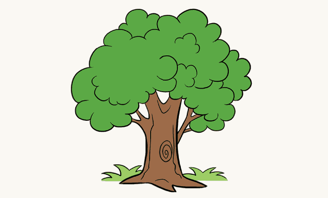 How to Draw a Cartoon Tree Easy Step by Step Drawing Guides How to Draw a Cartoon Tree Easy Step by Step Drawing Guides