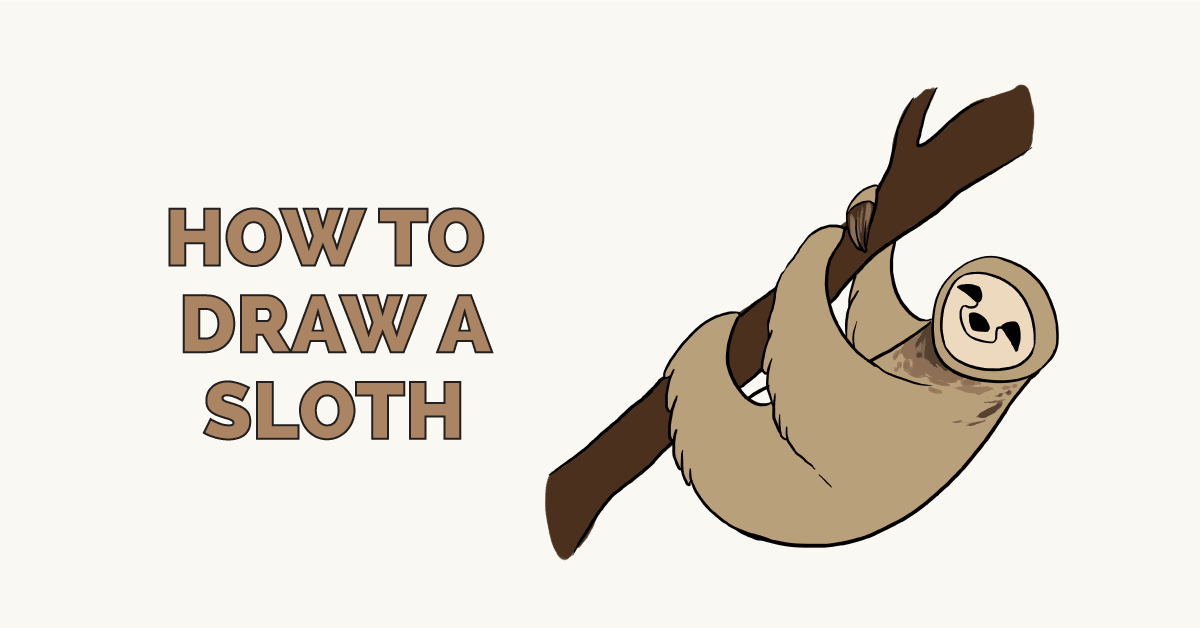 How to Draw a Sloth Really Easy Drawing Tutorial