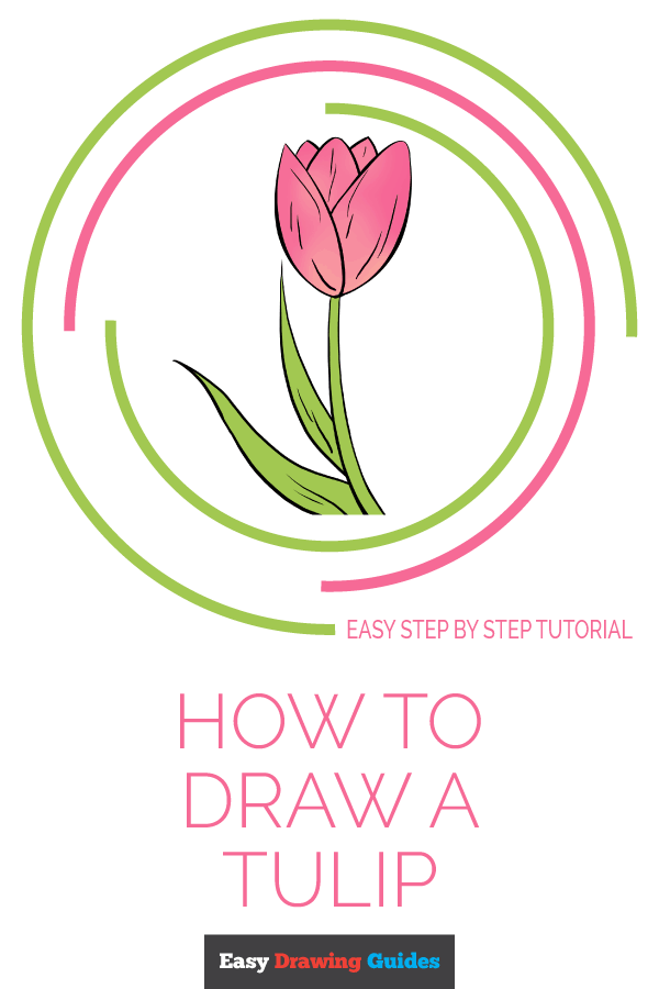 How To Draw A Tulip Step By Step