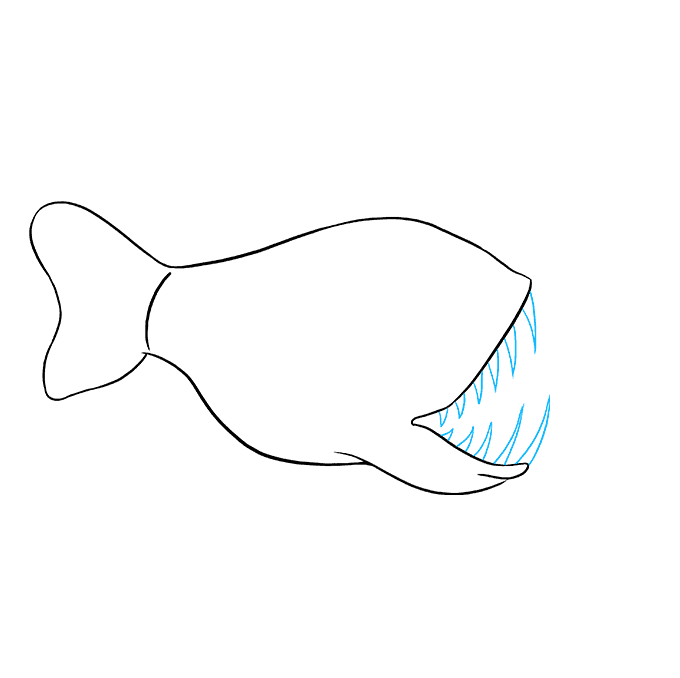 How to Draw an Angler Fish Really Easy Drawing Tutorial
