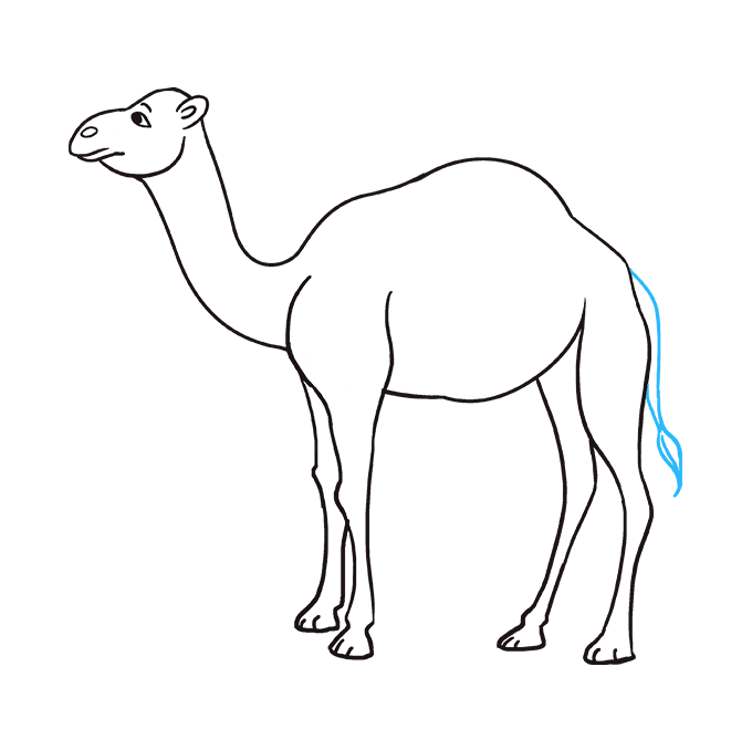 How to Draw a Camel Really Easy Drawing Tutorial