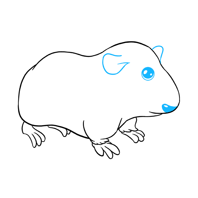 How to Draw a Guinea Pig Really Easy Drawing Tutorial How to Draw a Guinea Pig Really Easy Drawing Tutorial
