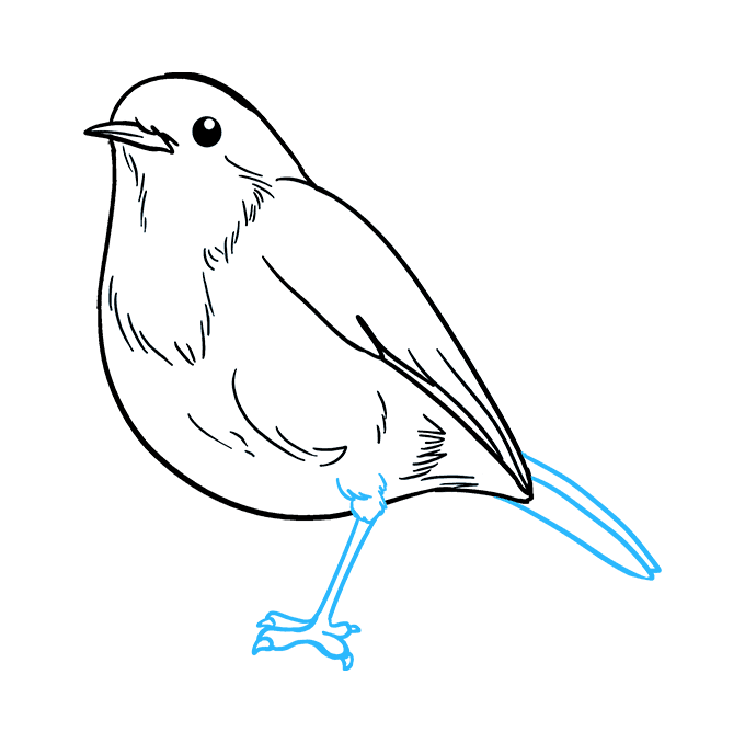 How to Draw a Robin Really Easy Drawing Tutorial